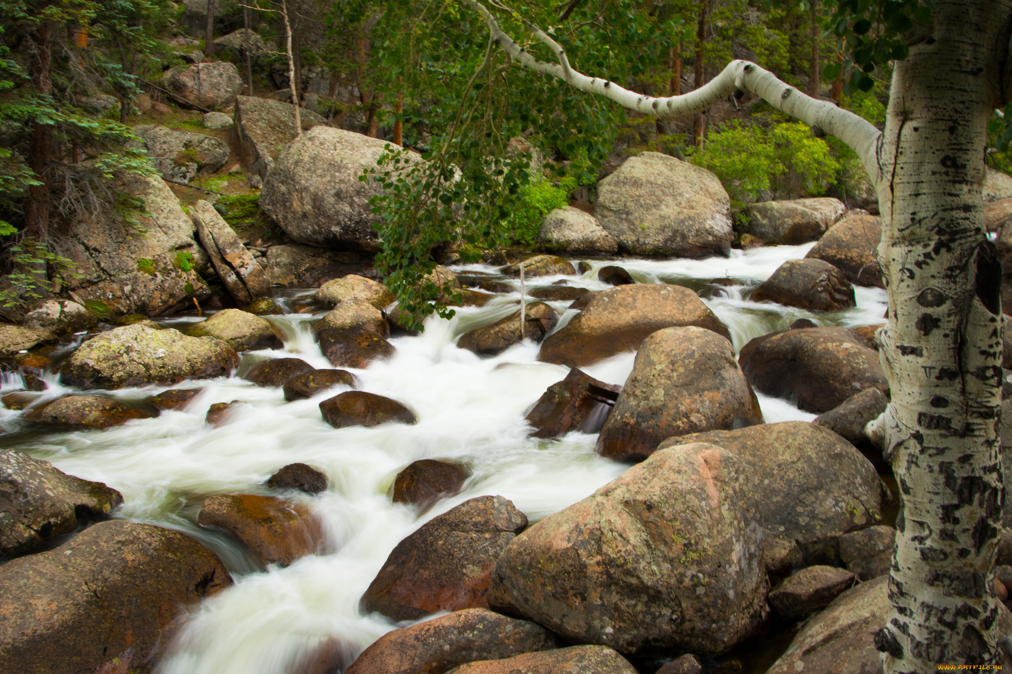 Stone river. Ручей среди камней. Речка с большими камнями. Камни в реке. Каменный берег реки.